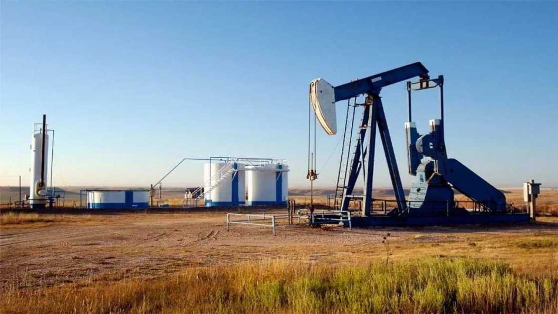 Extraction of oil Extraction of oil