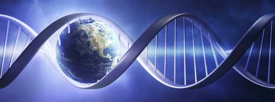type of your genotype type of your genotype