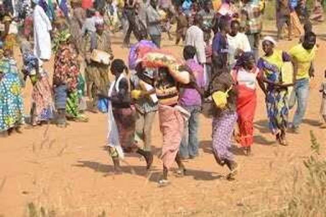 An gudu ba’a tsira ba: Yan bindiga sun hallaka wasu yan gudun hijira guda 7 a sansani An gudu ba’a tsira ba: Yan bindiga sun hallaka wasu yan gudun hijira guda 7 a sansani