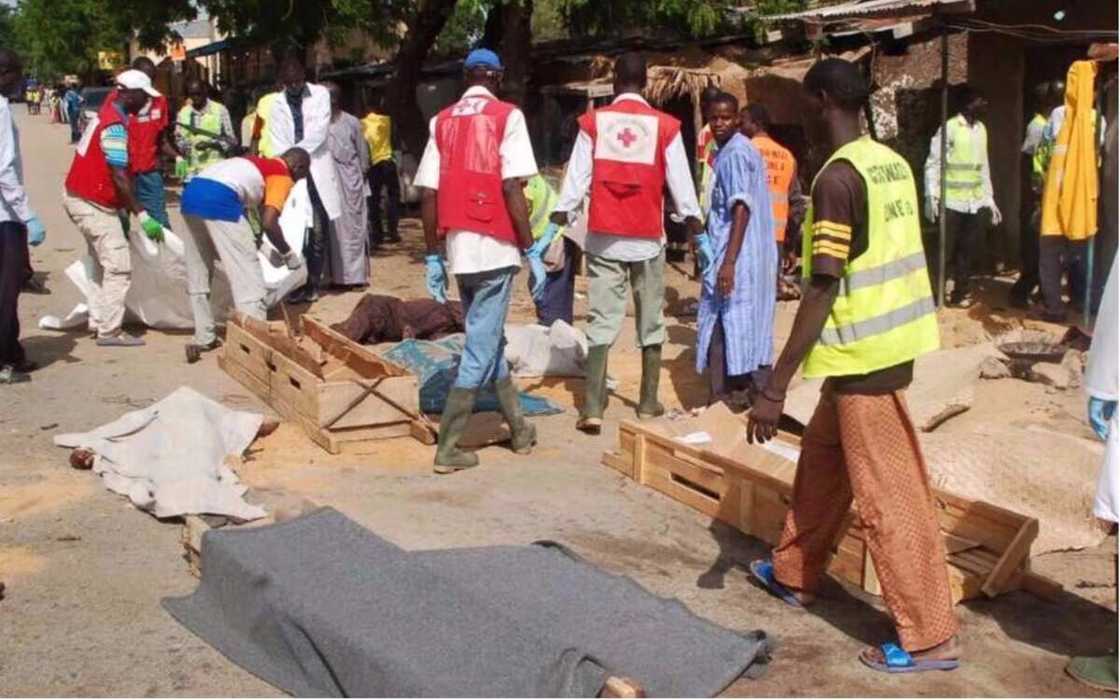 Boko Haram strikes again on Cameroon-Nigeria border,16 dead Boko Haram strikes again on Cameroon-Nigeria border,16 dead