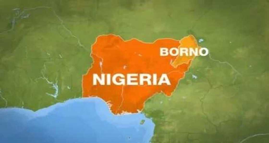 Yanzu Yanzu: Kuma dai, yan kunar bakin wake 3 sun sake kai hari garin Borno inda suka kashe kansu