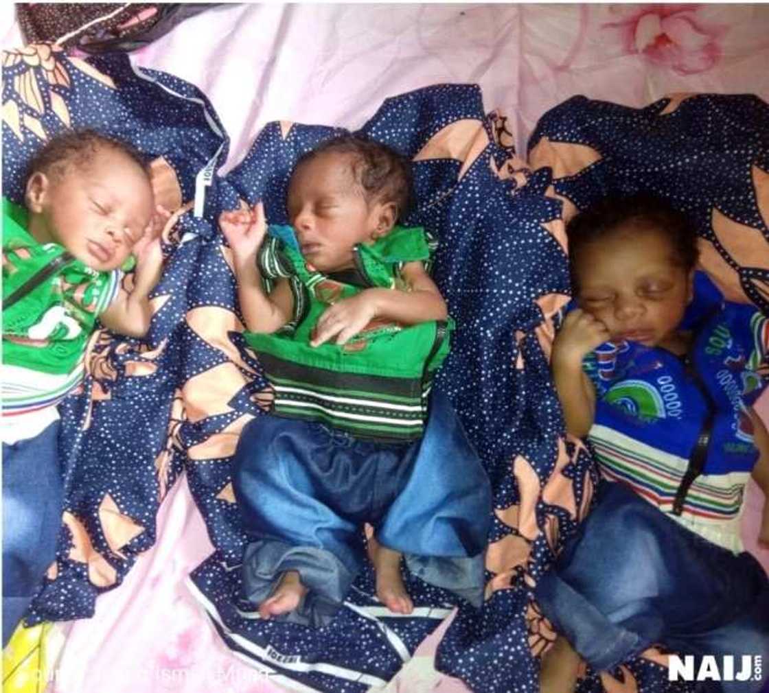 Cikin Hotuna: Wata Mata ta Haifi 'Yan 3 duka Maza a jihar Kano Cikin Hotuna: Wata Mata ta Haifi 'Yan 3 duka Maza a jihar Kano