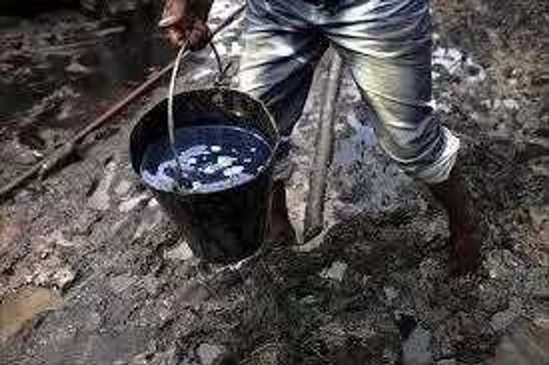 Japa, Naira Redesign and other top trends in the Nigerian economy in 2022 Japa, Naira Redesign and other top trends in the Nigerian economy in 2022