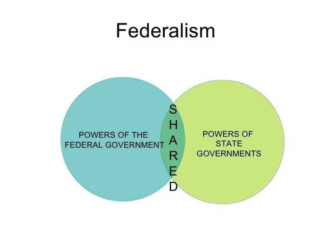Features of federalism Features of federalism