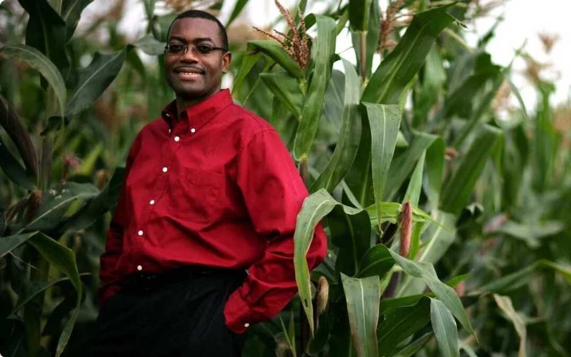 Maize farmer