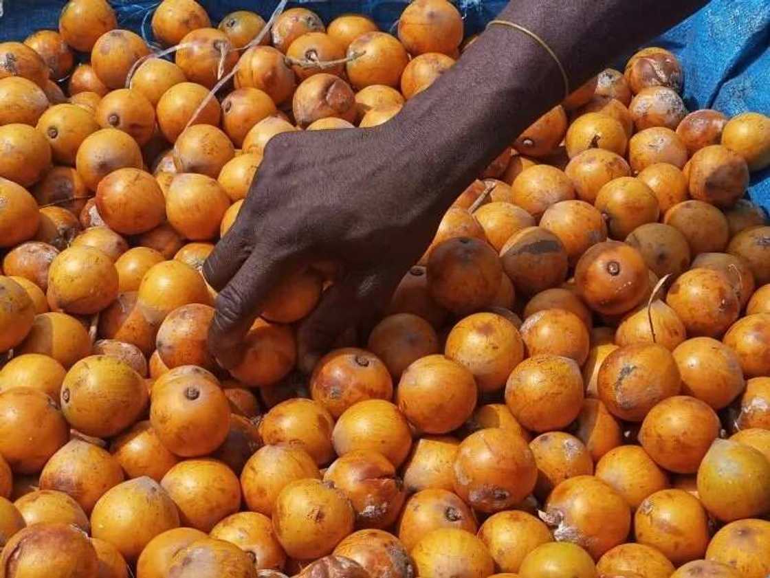 Health benefits of Agbalumo fruit & seeds