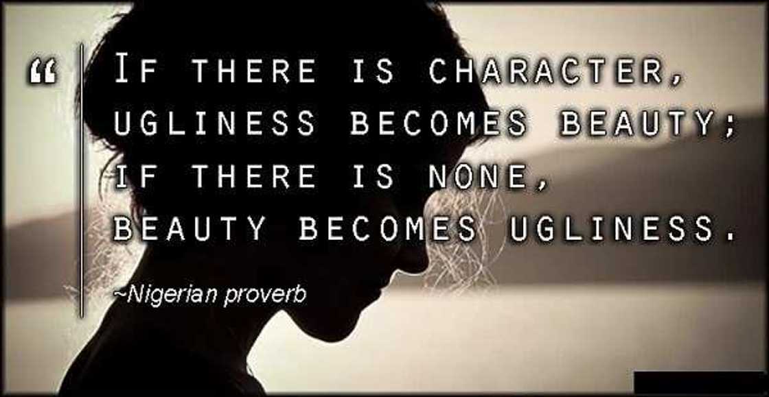 Top 15 Nigerian proverbs and their meanings Top 15 Nigerian proverbs and their meanings