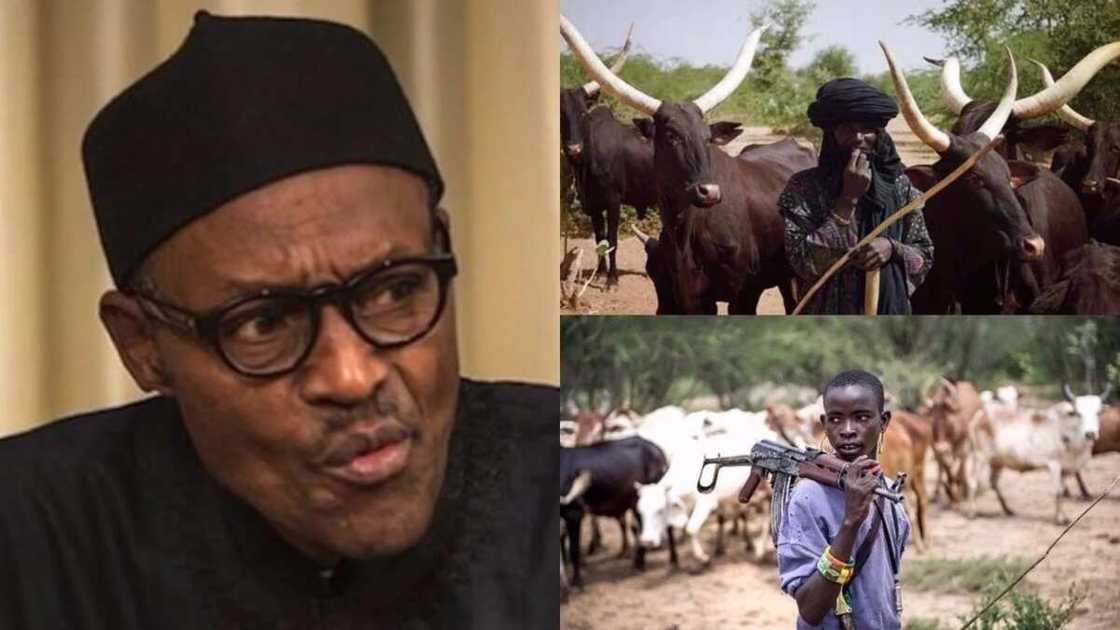 Matasan Filato sun rubuta wa Buhari wasika akan hare haren makiyayan Fulani