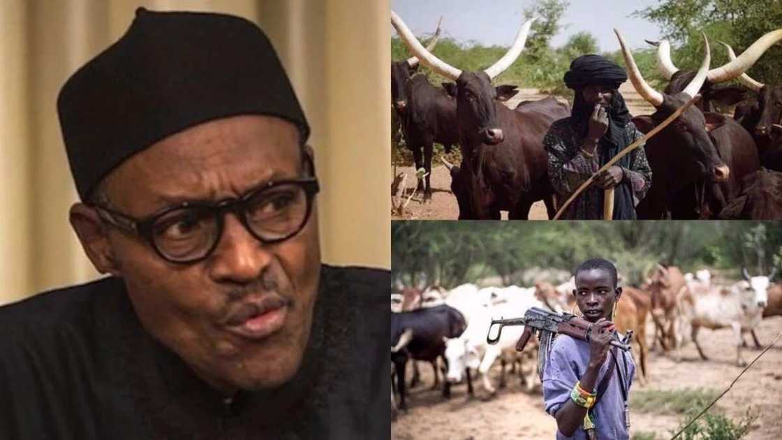Matasan Filato sun rubuta wa Buhari wasika akan hare haren makiyayan Fulani Matasan Filato sun rubuta wa Buhari wasika akan hare haren makiyayan Fulani