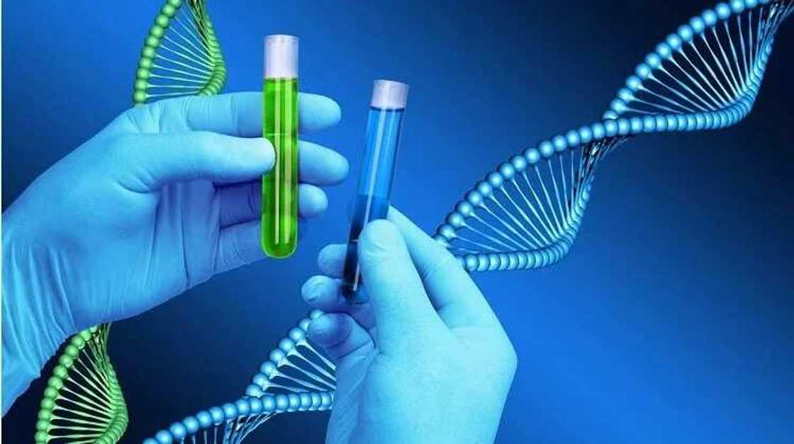 finding your genotype finding your genotype