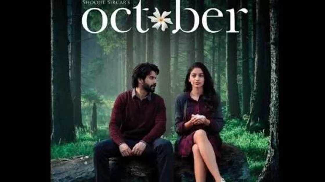 Mu leka Bollywood: Fina-finan Indiya da suka fi qayatar wa a bana Mu leka Bollywood: Fina-finan Indiya da suka fi qayatar wa a bana