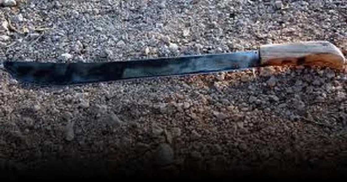 Idon wasu Samari biyu ya raina fata a gaban Kuliya bayan da suka kai ma wani hari da Adda Idon wasu Samari biyu ya raina fata a gaban Kuliya bayan da suka kai ma wani hari da Adda