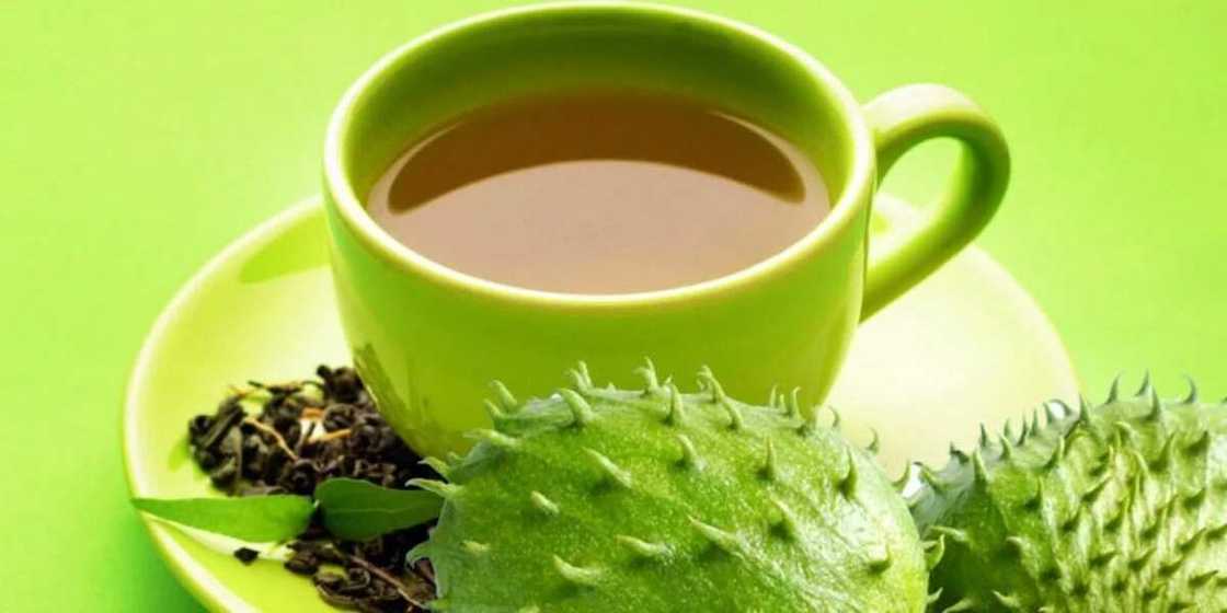Soursop leaf tea Soursop leaf tea
