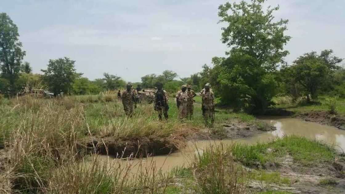 Troops arrest Boko Haram member, recovers and destroys IED