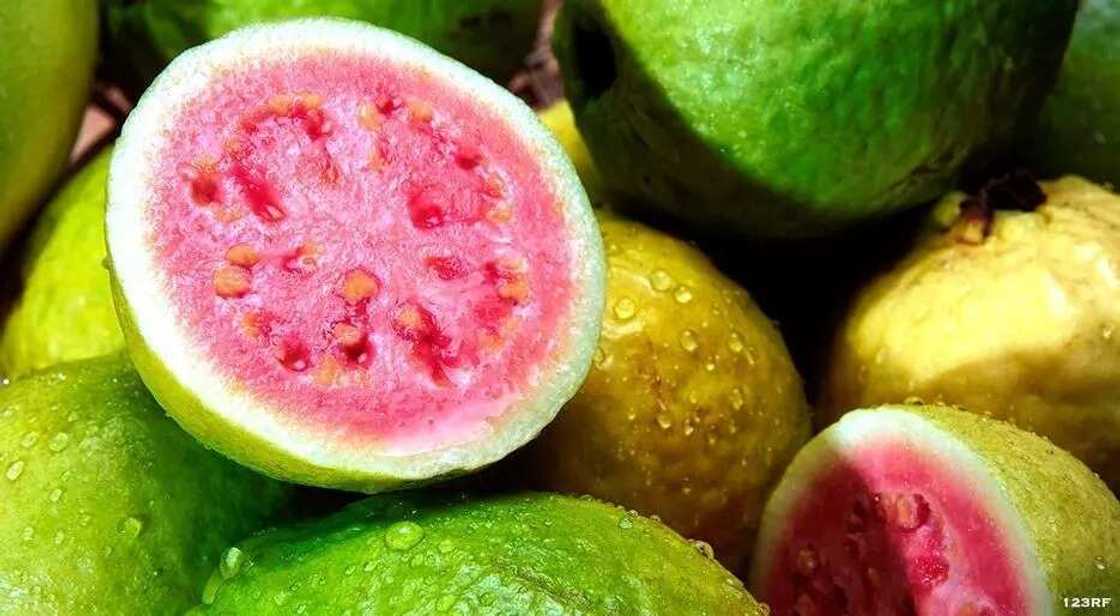 Ripe guava Ripe guava
