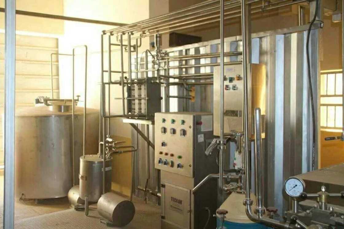 Hotunan wani katafaren kamfanin jihar Sokoto na noman shanu da babu irinsa Afrika Hotunan wani katafaren kamfanin jihar Sokoto na noman shanu da babu irinsa Afrika