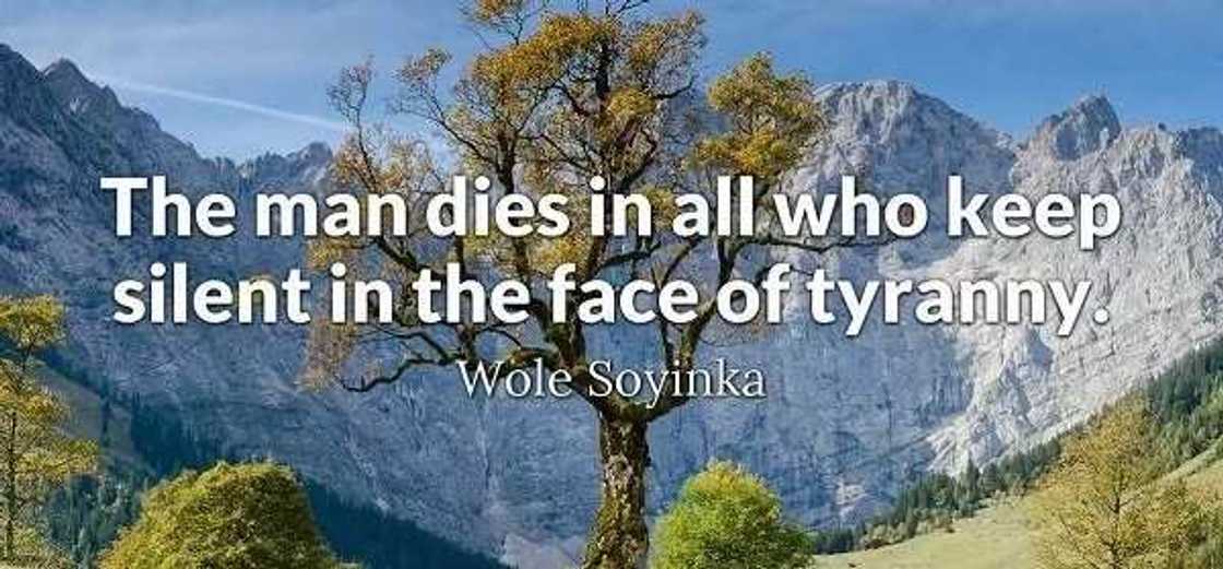 Wole Soyinka quotes on Africa