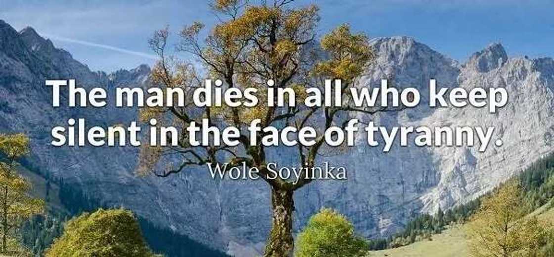 Wole Soyinka quotes on Africa Wole Soyinka quotes on Africa