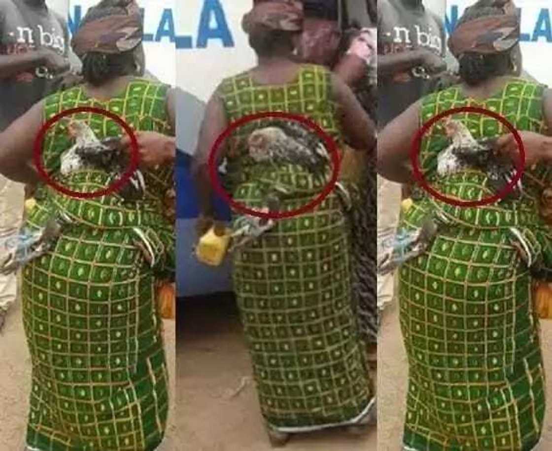 Wata mace mai goyon ‘kaza’ (Hotuna) Wata mace mai goyon ‘kaza’ (Hotuna)