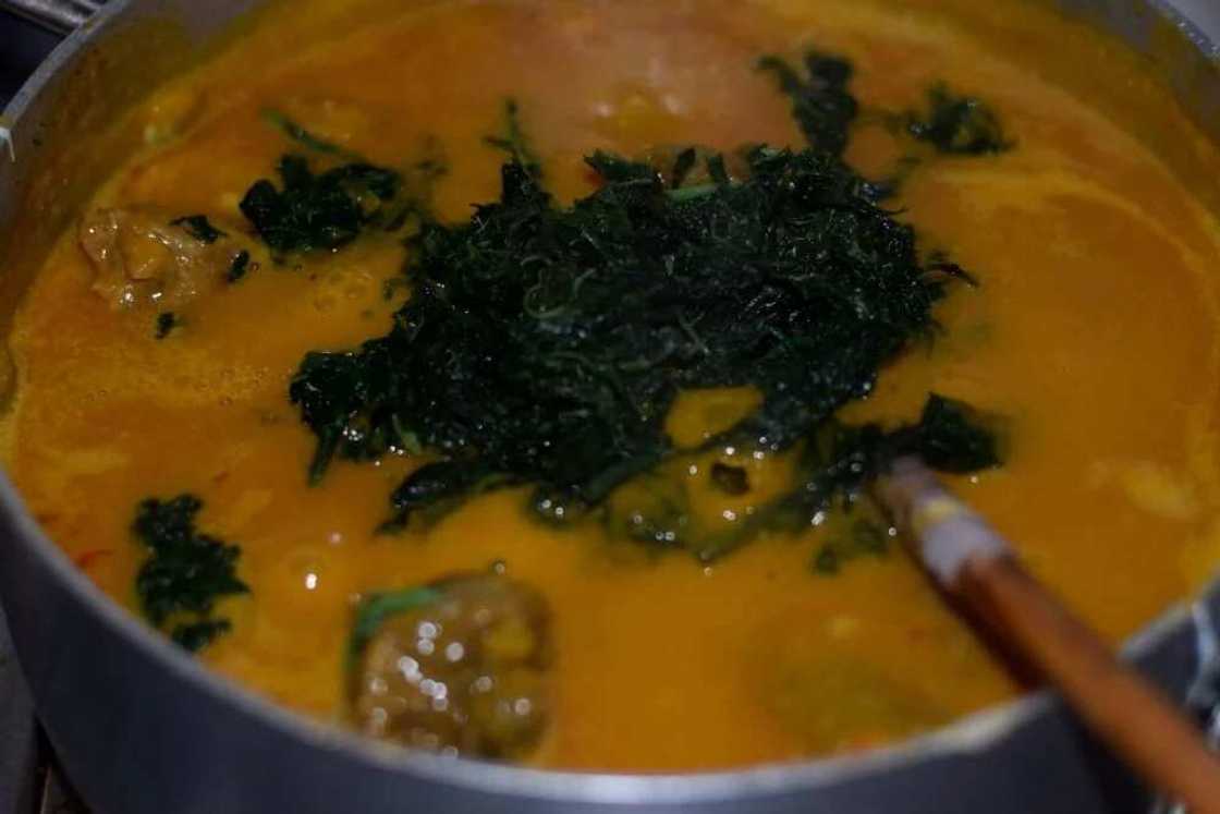 Tribes in Nigeria and their food BITTER LEAF SOUP Tribes in Nigeria and their food BITTER LEAF SOUP