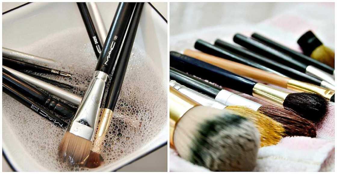 They require special attention and care They require special attention and care