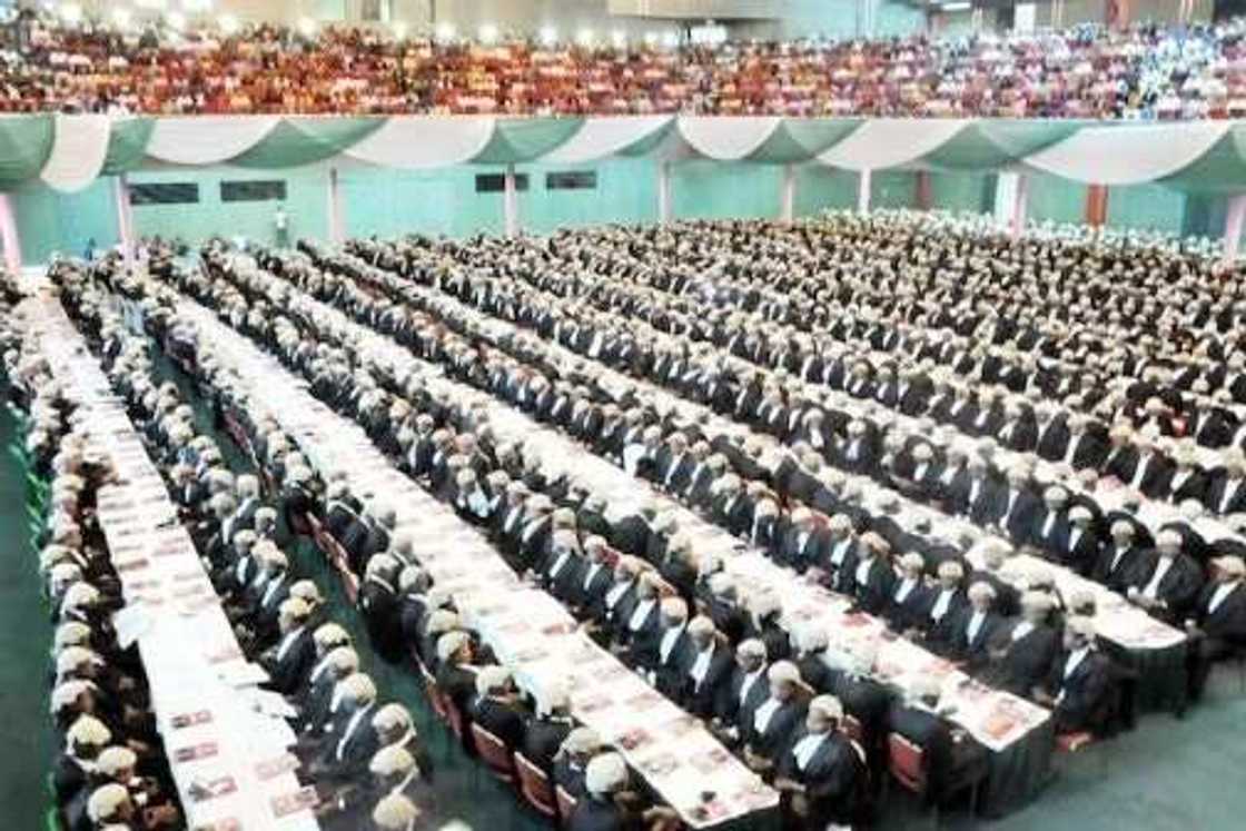 SAD! 1,805 Prospective Lawyers Fail Bar Examination