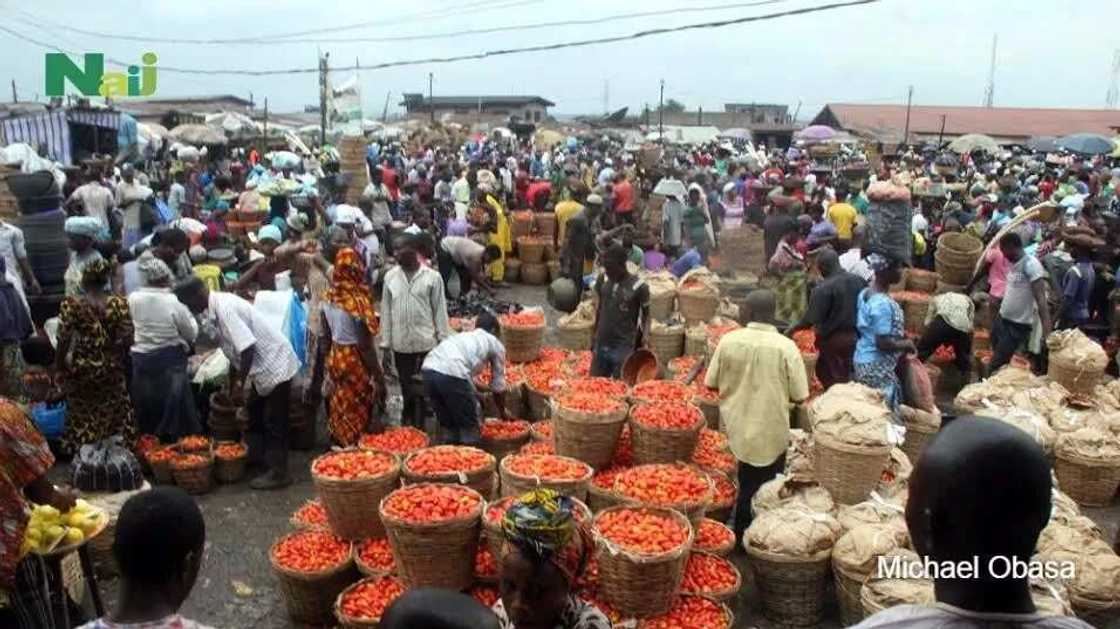 Mile 12 Market At A Glance Mile 12 Market At A Glance