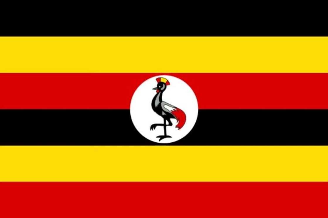 Flag of Uganda Flag of Uganda