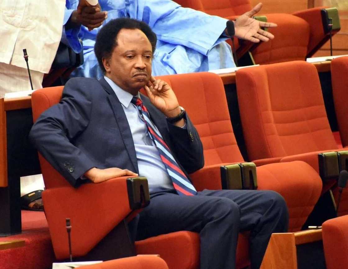 Shehu Sani tackles Bola Tinubu on recruitment of 50 million soldiers Shehu Sani tackles Bola Tinubu on recruitment of 50 million soldiers