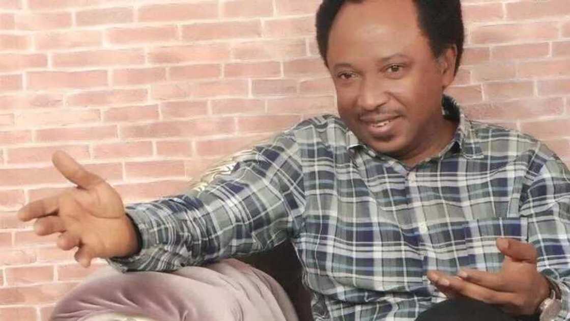 APC ba addini bane don haka zan fita na bar ta da miyagu – Sanata Shehu Sani APC ba addini bane don haka zan fita na bar ta da miyagu – Sanata Shehu Sani