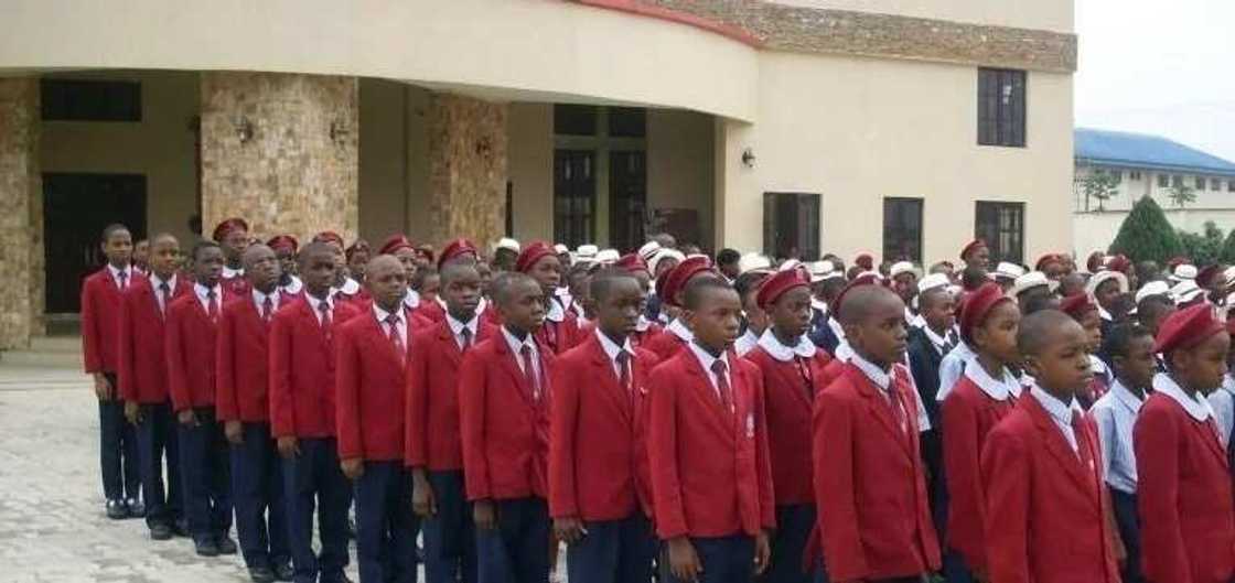 more students more students