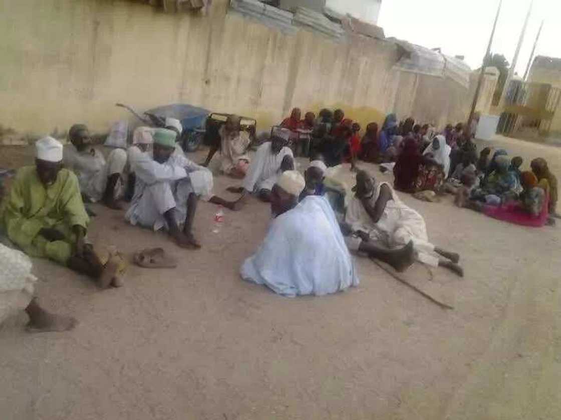 Troops Arrest Boko Haram Food Suppliers In Borno Troops Arrest Boko Haram Food Suppliers In Borno