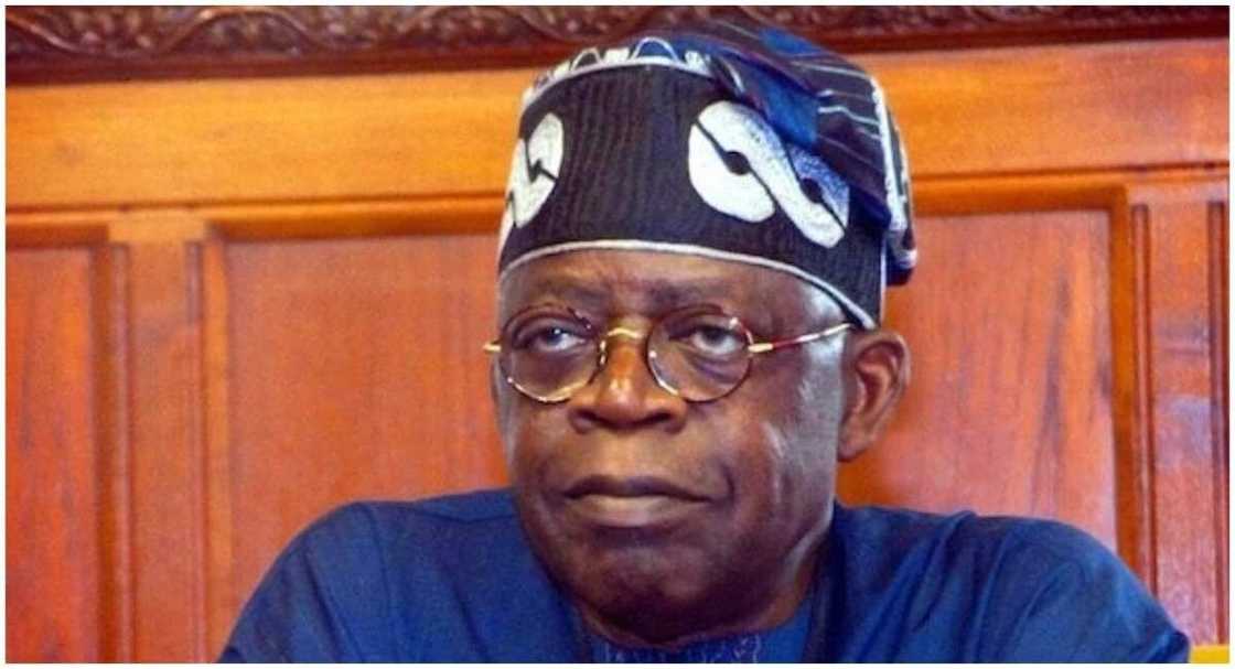 Abin da Buhari, Gwamnoni, Shugabannin Majalisa ke fada yayin da Tinubu ya isa shekara 69 Abin da Buhari, Gwamnoni, Shugabannin Majalisa ke fada yayin da Tinubu ya isa shekara 69