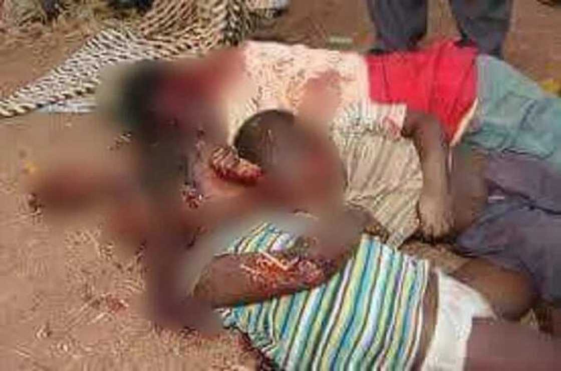 Fani-Kayode releases photos of Southern Kaduna killings Fani-Kayode releases photos of Southern Kaduna killings