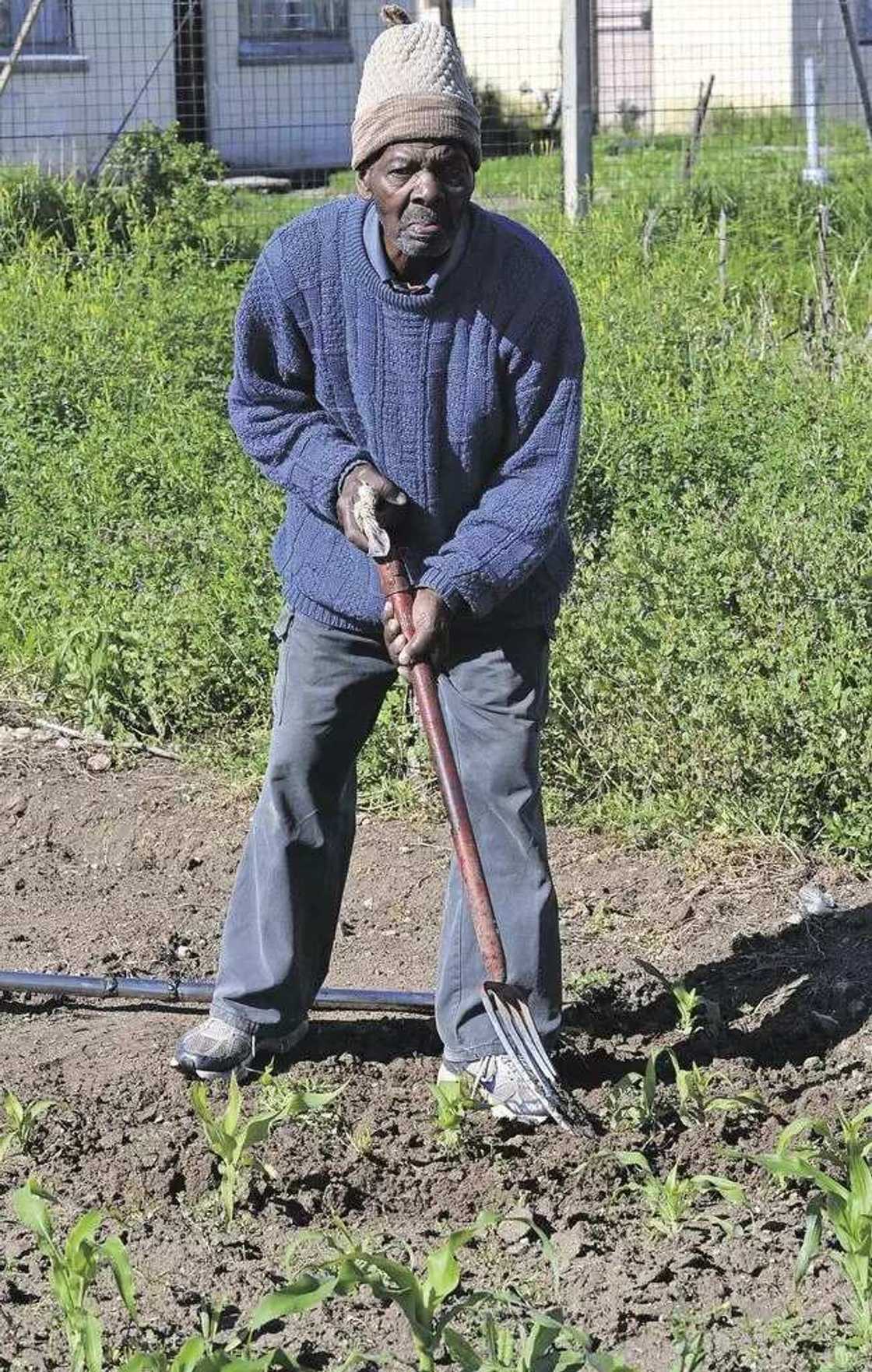 Cakwakiya: Tsoho mai shekaru 80 ya memi auren ‘yarshi (Karanta) Cakwakiya: Tsoho mai shekaru 80 ya memi auren ‘yarshi (Karanta)