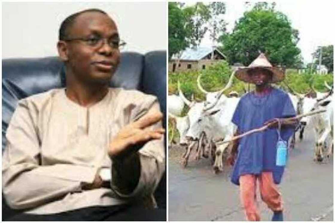 FG says 204 people killed in Southern Kaduna crisis