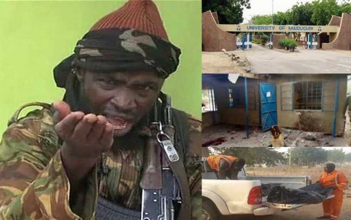 UNIMAID was bombed because of ‘ungodly’ acts - Shekau UNIMAID was bombed because of ‘ungodly’ acts - Shekau