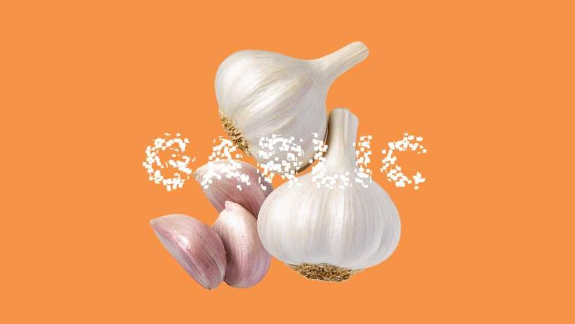 garlic garlic