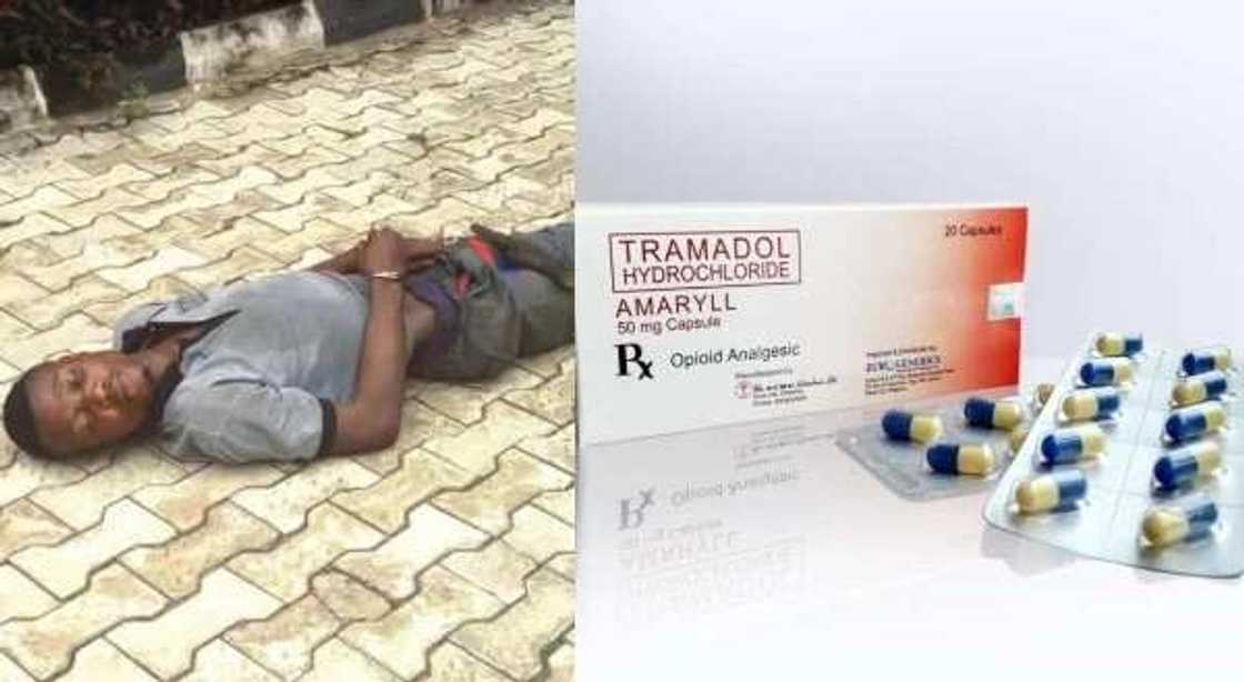 Kwanaki 6 kenan har yanzu bai tashi daga barci ba - Yan sanda kan maigarkuwa da mutanen da ya sha Tramadol Kwanaki 6 kenan har yanzu bai tashi daga barci ba - Yan sanda kan maigarkuwa da mutanen da ya sha Tramadol
