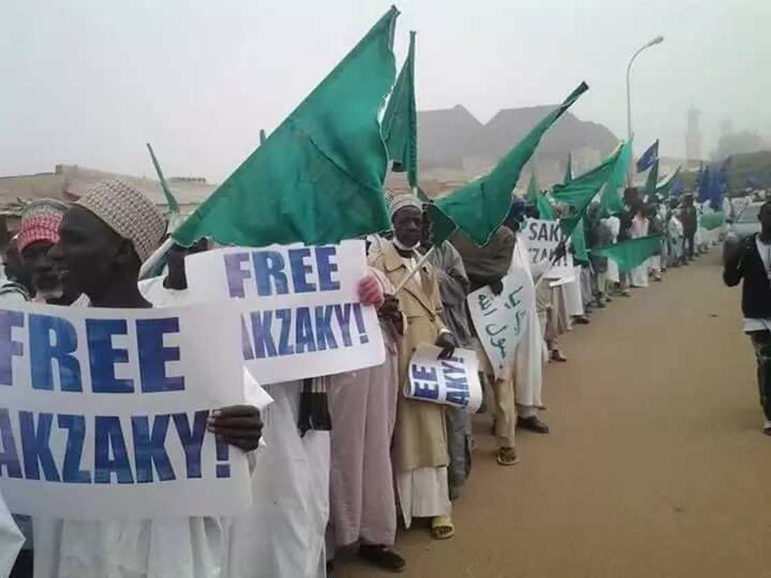 Bikin Maulidi: Yan shi'a sun mamaye garin Katsina Bikin Maulidi: Yan shi'a sun mamaye garin Katsina