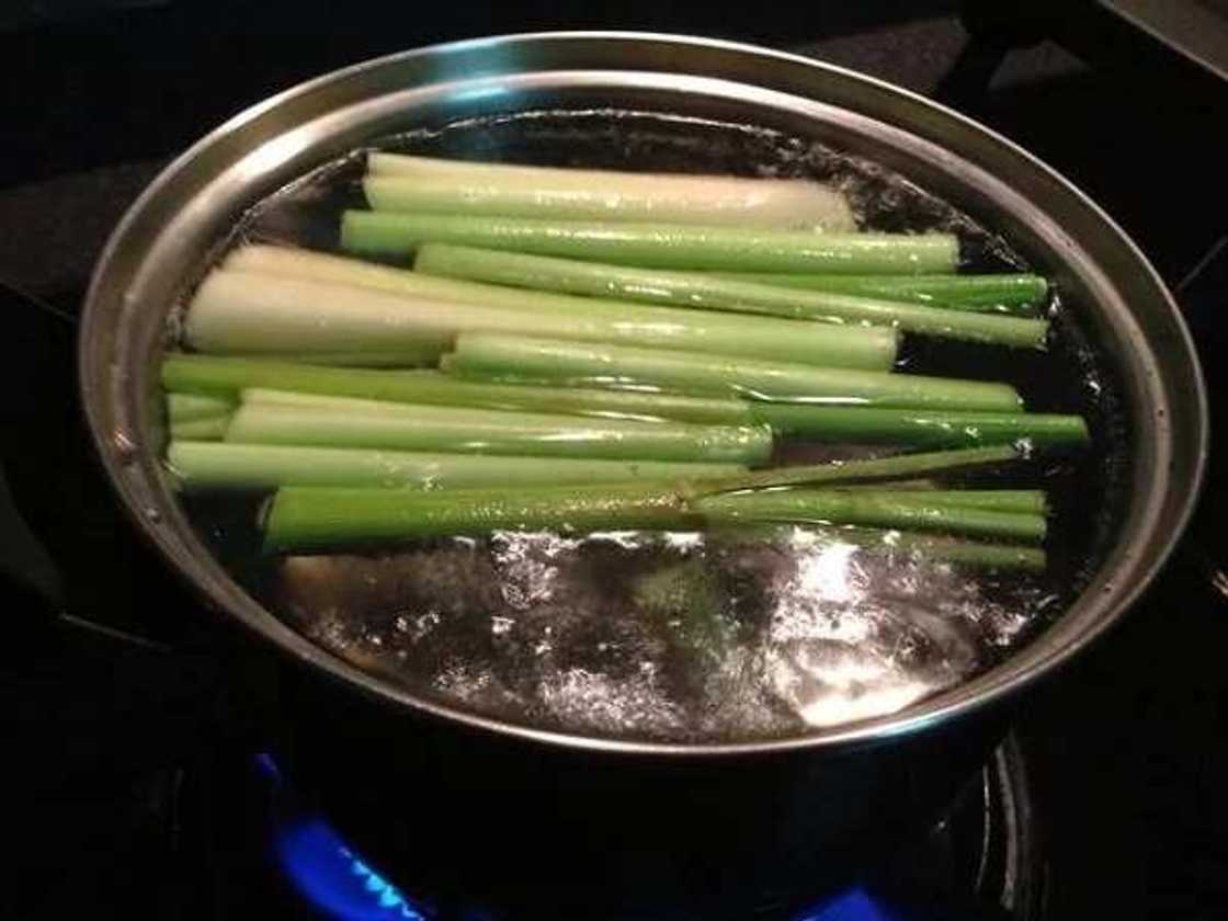 lemongrass in oil