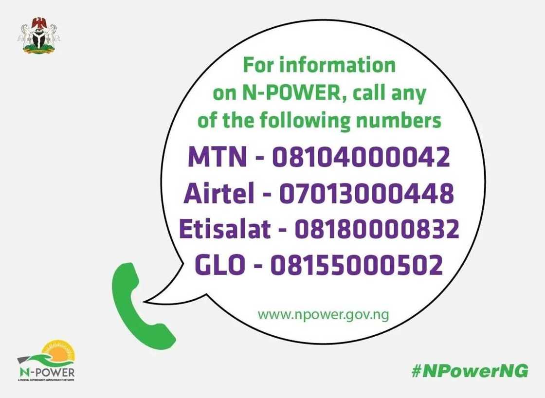 NPower contacts NPower contacts