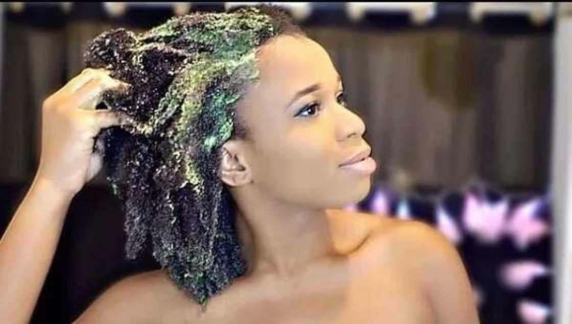 Raw shea butter for hair growth Raw shea butter for hair growth
