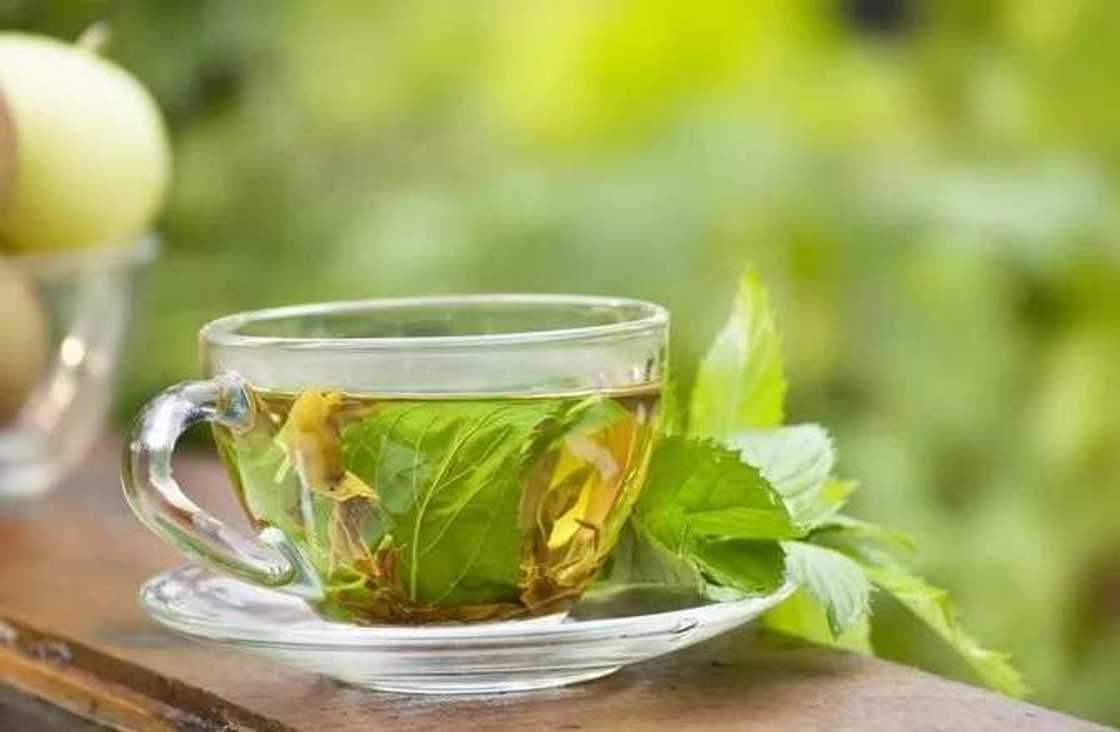 mint tea mint tea