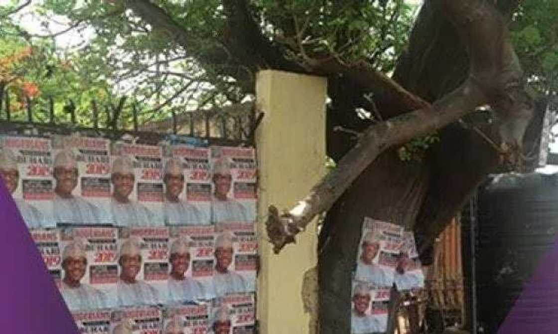 Buhari 2019 campaign posters hit Benue (photo)