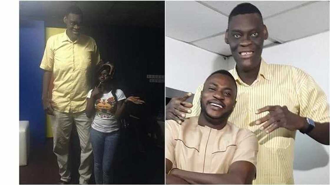 Zandoro: an gano mutumin da yafi kowanne ɗan Najeriya tsayi (Hotuna) Zandoro: an gano mutumin da yafi kowanne ɗan Najeriya tsayi (Hotuna)