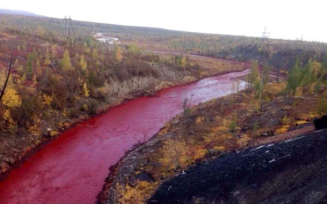 In Russia they got river of blood, like a sign of the end of time In Russia they got river of blood, like a sign of the end of time