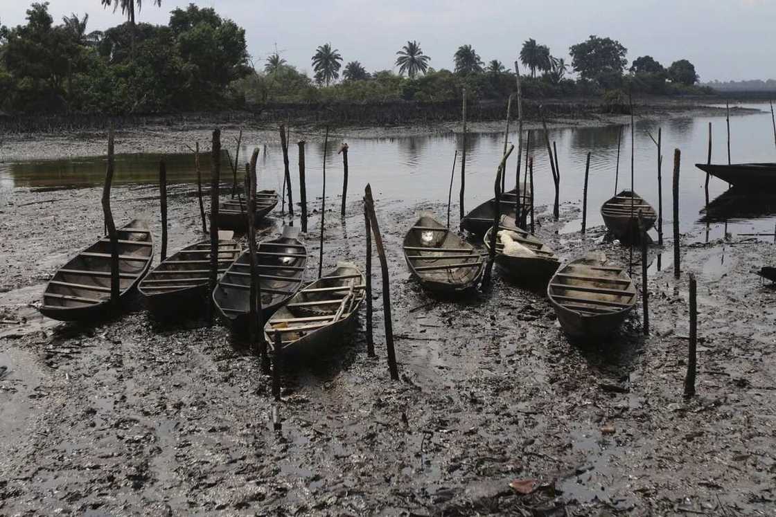 The current estimated sum to clean-up all Ogoni Land The current estimated sum to clean-up all Ogoni Land
