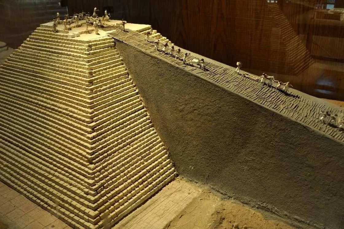 Tarihin yadda kasar Misra ta samu Dalar tsandauri Tarihin yadda kasar Misra ta samu Dalar tsandauri