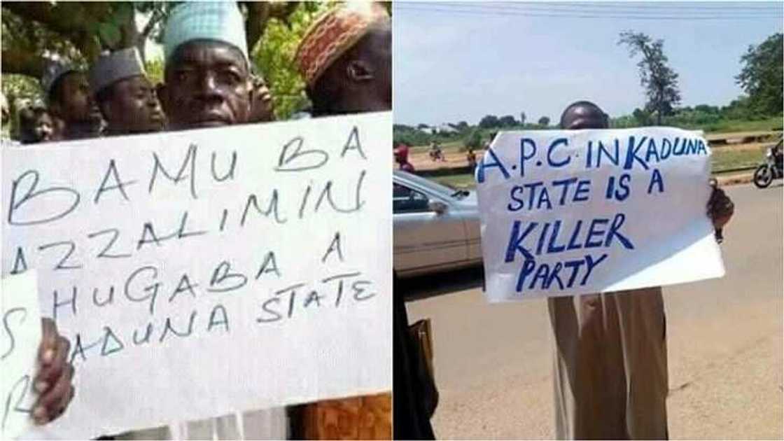 Toh fa! Malaman da El-Rufai ya sallama daga aiki sun gabatar masa da Al-kunuti (Hotuna) Toh fa! Malaman da El-Rufai ya sallama daga aiki sun gabatar masa da Al-kunuti (Hotuna)